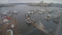 ./images/victoria/wharf/20240301/wharf20240301_112500.jpg