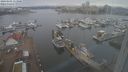 ./images/victoria/wharf/20240301/wharf20240301_113000.jpg