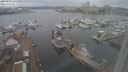 ./images/victoria/wharf/20240301/wharf20240301_124000.jpg