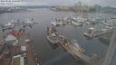 ./images/victoria/wharf/20240301/wharf20240301_124500.jpg