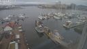 ./images/victoria/wharf/20240301/wharf20240301_125501.jpg