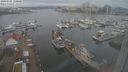./images/victoria/wharf/20240301/wharf20240301_130000.jpg