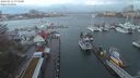 ./images/victoria/wharf/20240312/wharf20240312_073500.jpg