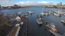 ./images/victoria/wharf/20240312/wharf20240312_111000.jpg