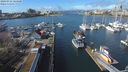 ./images/victoria/wharf/20240312/wharf20240312_124000.jpg