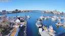 ./images/victoria/wharf/20240316/wharf20240316_112500.jpg