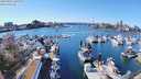 ./images/victoria/wharf/20240317/wharf20240317_142001.jpg