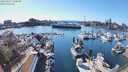 ./images/victoria/wharf/20240317/wharf20240317_160500.jpg