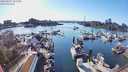 ./images/victoria/wharf/20240317/wharf20240317_170000.jpg
