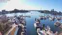 ./images/victoria/wharf/20240317/wharf20240317_171000.jpg
