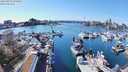 ./images/victoria/wharf/20240319/wharf20240319_143500.jpg