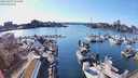 ./images/victoria/wharf/20240319/wharf20240319_162500.jpg