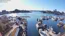 ./images/victoria/wharf/20240319/wharf20240319_170000.jpg