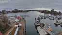 ./images/victoria/wharf/20240320/wharf20240320_075000.jpg