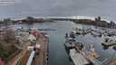 ./images/victoria/wharf/20240320/wharf20240320_083000.jpg