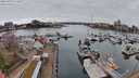 ./images/victoria/wharf/20240320/wharf20240320_111500.jpg