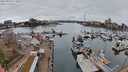 ./images/victoria/wharf/20240320/wharf20240320_113500.jpg