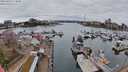 ./images/victoria/wharf/20240320/wharf20240320_115000.jpg