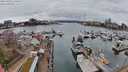 ./images/victoria/wharf/20240320/wharf20240320_121500.jpg