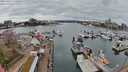 ./images/victoria/wharf/20240320/wharf20240320_125500.jpg