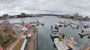 ./images/victoria/wharf/20240320/wharf20240320_131500.jpg