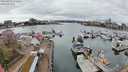 ./images/victoria/wharf/20240320/wharf20240320_132501.jpg