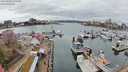 ./images/victoria/wharf/20240320/wharf20240320_134001.jpg