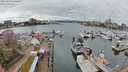 ./images/victoria/wharf/20240320/wharf20240320_135500.jpg