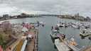 ./images/victoria/wharf/20240320/wharf20240320_140000.jpg