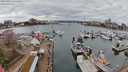 ./images/victoria/wharf/20240320/wharf20240320_141501.jpg