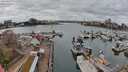 ./images/victoria/wharf/20240320/wharf20240320_151500.jpg