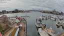 ./images/victoria/wharf/20240320/wharf20240320_161500.jpg