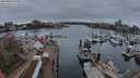 ./images/victoria/wharf/20240320/wharf20240320_185001.jpg