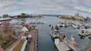 ./images/victoria/wharf/20240321/wharf20240321_094501.jpg