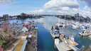 ./images/victoria/wharf/20240321/wharf20240321_112500.jpg