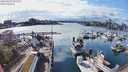./images/victoria/wharf/20240321/wharf20240321_162001.jpg