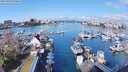 ./images/victoria/wharf/20240324/wharf20240324_104500.jpg