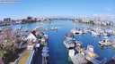 ./images/victoria/wharf/20240324/wharf20240324_110000.jpg