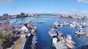 ./images/victoria/wharf/20240324/wharf20240324_111500.jpg