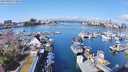 ./images/victoria/wharf/20240324/wharf20240324_112500.jpg