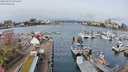 ./images/victoria/wharf/20240325/wharf20240325_095500.jpg