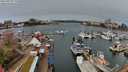 ./images/victoria/wharf/20240325/wharf20240325_111000.jpg