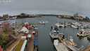./images/victoria/wharf/20240325/wharf20240325_111500.jpg