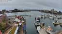 ./images/victoria/wharf/20240325/wharf20240325_121001.jpg
