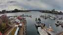 ./images/victoria/wharf/20240328/wharf20240328_160501.jpg