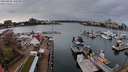 ./images/victoria/wharf/20240328/wharf20240328_182500.jpg