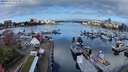 ./images/victoria/wharf/20240329/wharf20240329_091500.jpg
