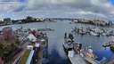 ./images/victoria/wharf/20240329/wharf20240329_105500.jpg