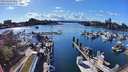 ./images/victoria/wharf/20240329/wharf20240329_162500.jpg
