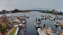 ./images/victoria/wharf/20240330/wharf20240330_140000.jpg